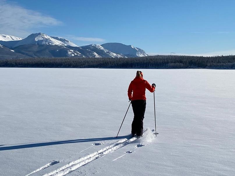Southern Lakes Resort Tagish المظهر الخارجي الصورة